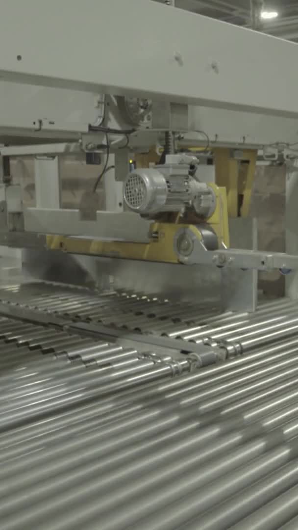 Conveyor in a paper mill. Technology. Vertical video — Stock Video