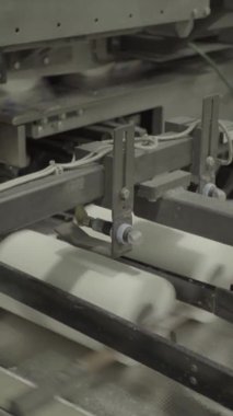 Kağıt fabrikasında taşıyıcı. Teknoloji. Dikey video