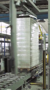 Kağıt fabrikasında taşıyıcı. Teknoloji. Dikey video