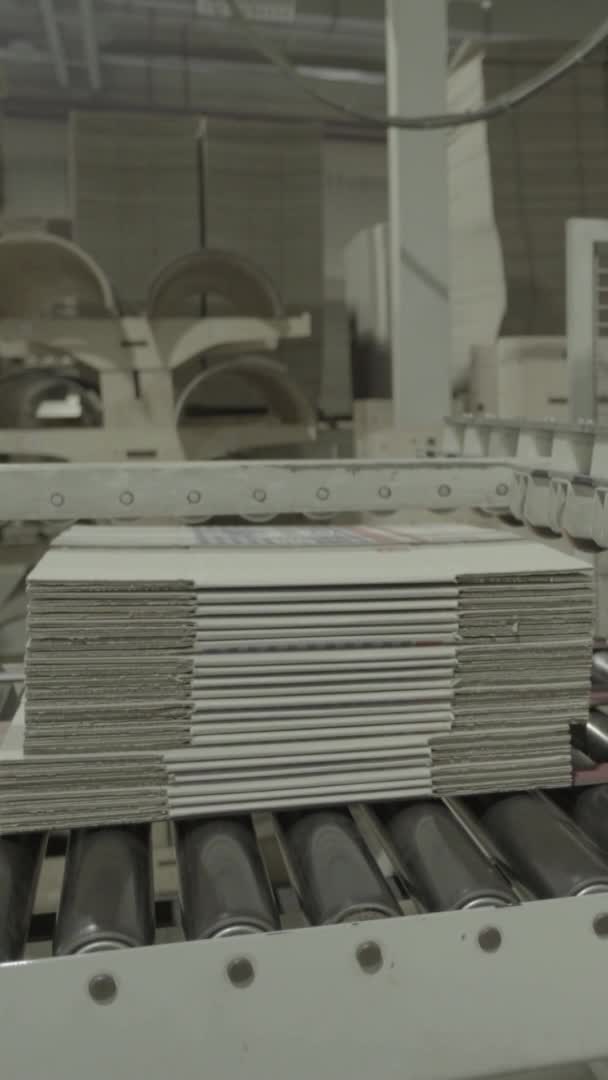 Transporteur in een papierfabriek. Technologie. Verticale video — Stockvideo