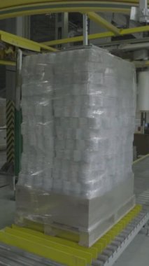 Kağıt fabrikasında taşıyıcı. Teknoloji. Dikey video