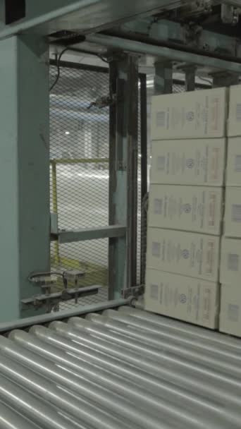 Transportador em uma fábrica de papel. Tecnologia. Vídeo vertical — Vídeo de Stock