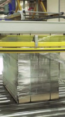 Kağıt fabrikasında taşıyıcı. Teknoloji. Dikey video