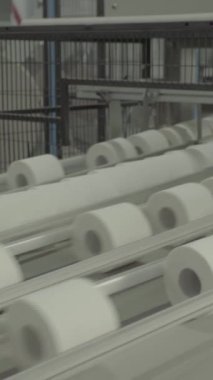 Kağıt fabrikasında taşıyıcı. Teknoloji. Dikey video