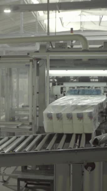 Transportador em uma fábrica de papel. Tecnologia. Vídeo vertical — Vídeo de Stock