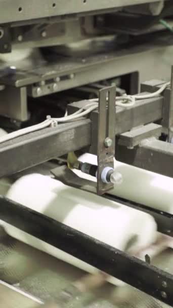 製紙工場でのコンベア。技術だ。垂直ビデオ — ストック動画