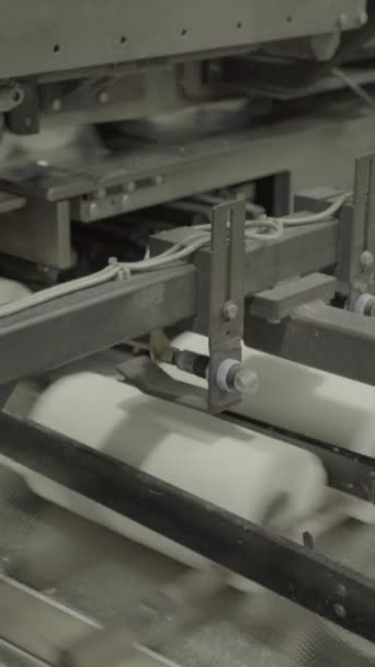 Transportador em uma fábrica de papel. Tecnologia. Vídeo vertical — Vídeo de Stock