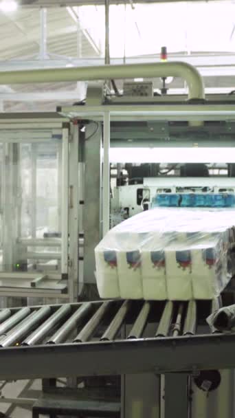 Transportador en una fábrica de papel. Tecnología. Vídeo vertical — Vídeos de Stock