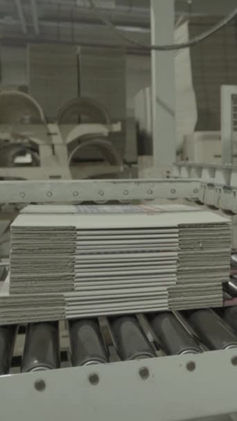 Transportador en una fábrica de papel. Tecnología. Vídeo vertical — Vídeos de Stock