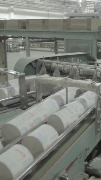 Conveyor in a paper mill. Technology. Vertical video — Stock Video