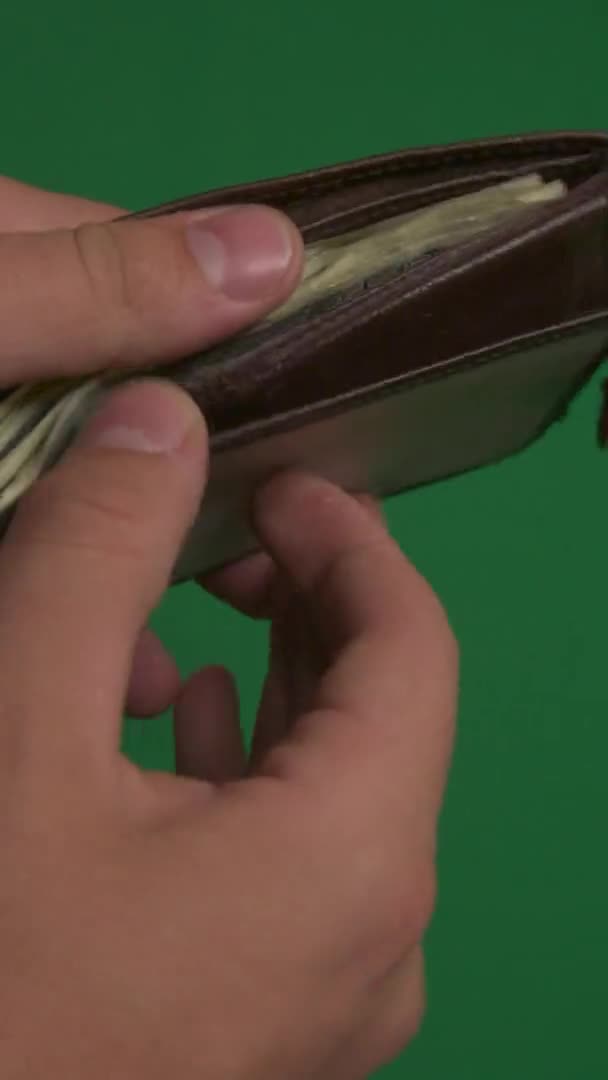 Δολάρια. Αμερικάνικα χρήματα κοντά σε ένα πράσινο φόντο hromakey. Κάθετη βίντεο — Αρχείο Βίντεο