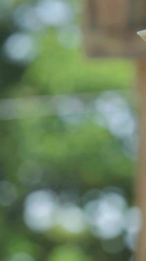 Tabancaya yakın çekim. Dikey video