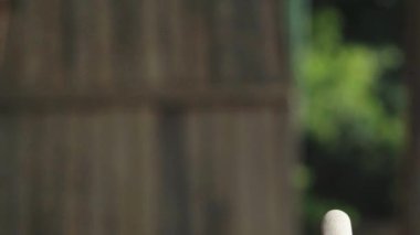 Tabancaya yakın çekim. Dikey video