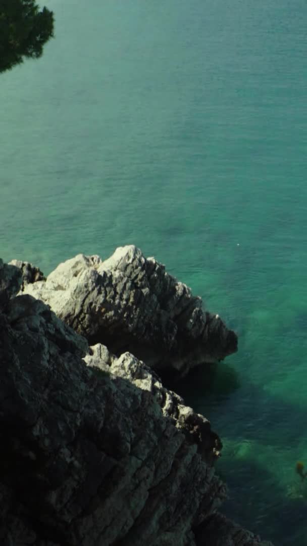 Primo piano di una spiaggia pietrosa. Video verticale — Video Stock