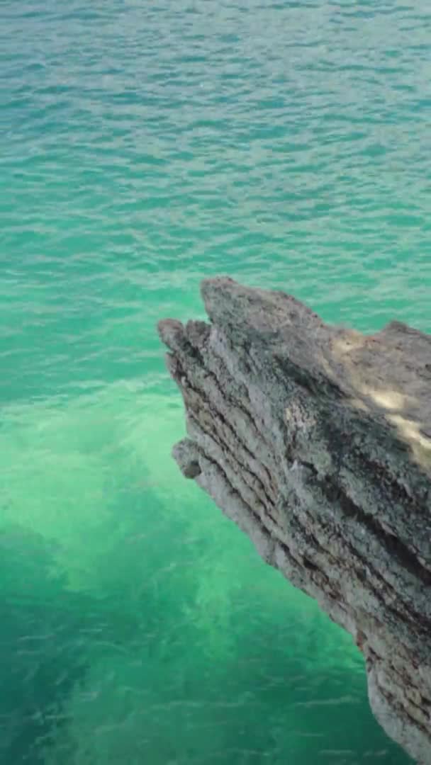 Gros plan d'un littoral pierreux. Vidéo verticale — Video