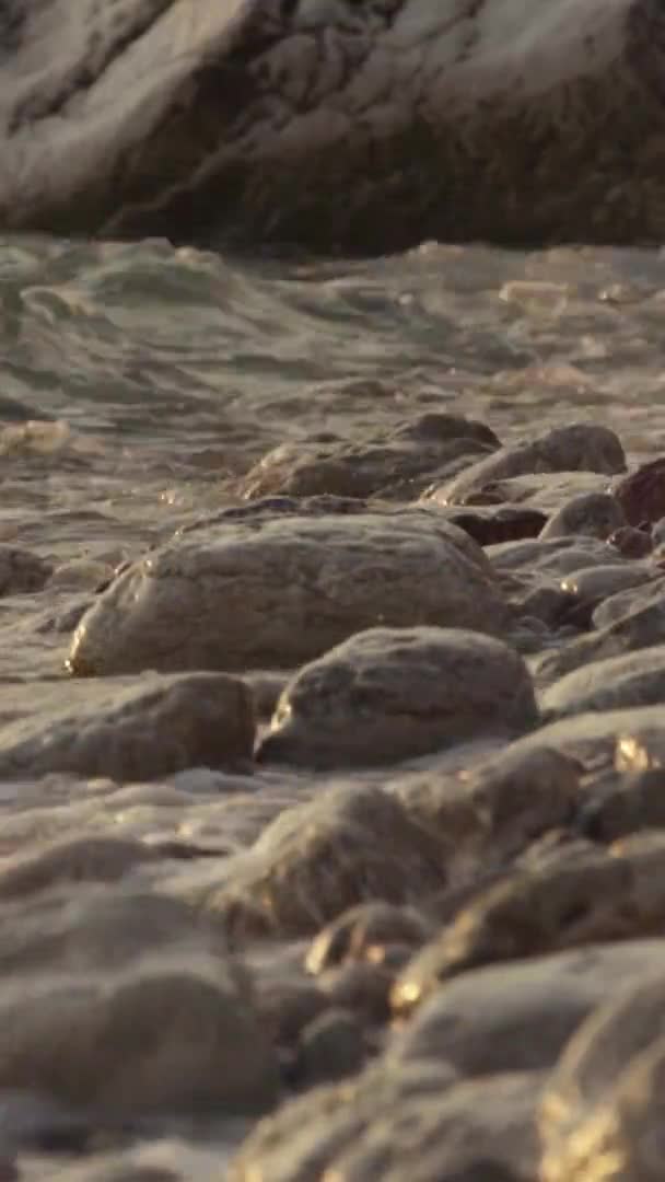 Gros plan d'un littoral pierreux. Vidéo verticale — Video