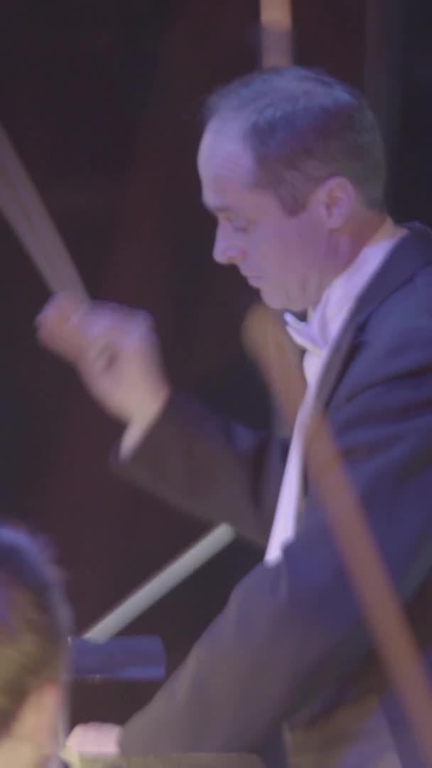 A male conductor conducts on stage. Vertical video — Stock Video