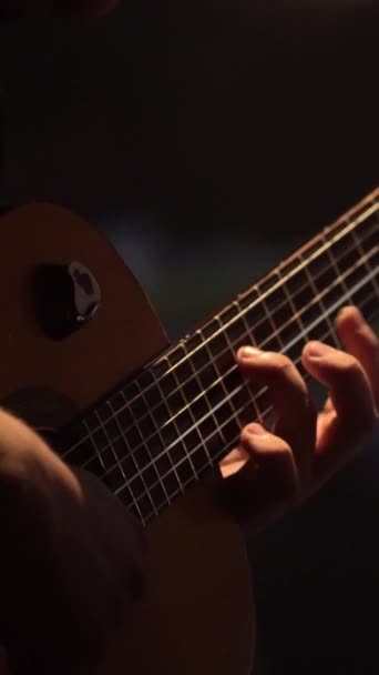 Männlicher Gitarrist spielt die Gitarre im Dunkeln. Vertikales Video — Stockvideo