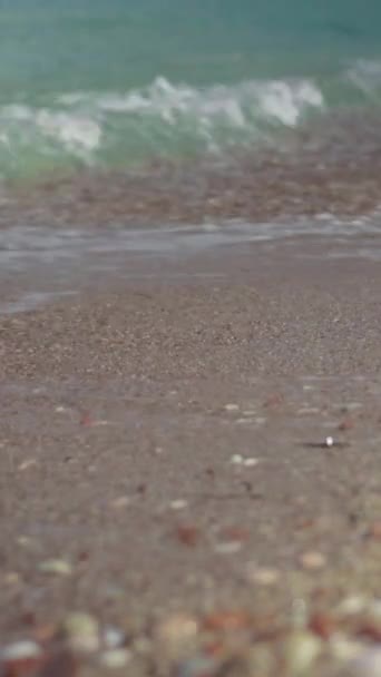 Close-up of a stony seashore. Vertical video — Stock Video