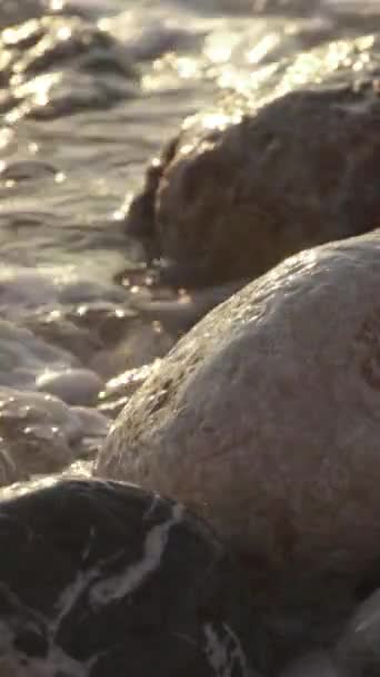 Närbild av en stenig kust. Vertikal video — Stockvideo