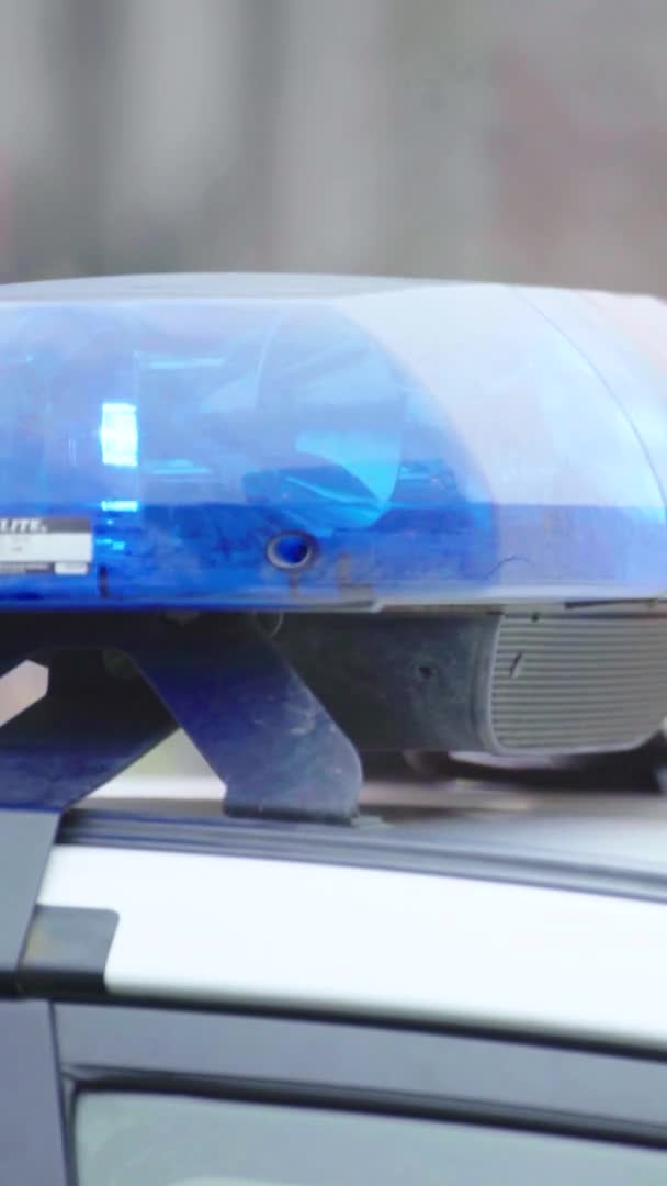 पोलीस कारच्या छतावर फ्लॅशर फ्लॅशिंग अनुलंब व्हिडिओ — स्टॉक व्हिडिओ