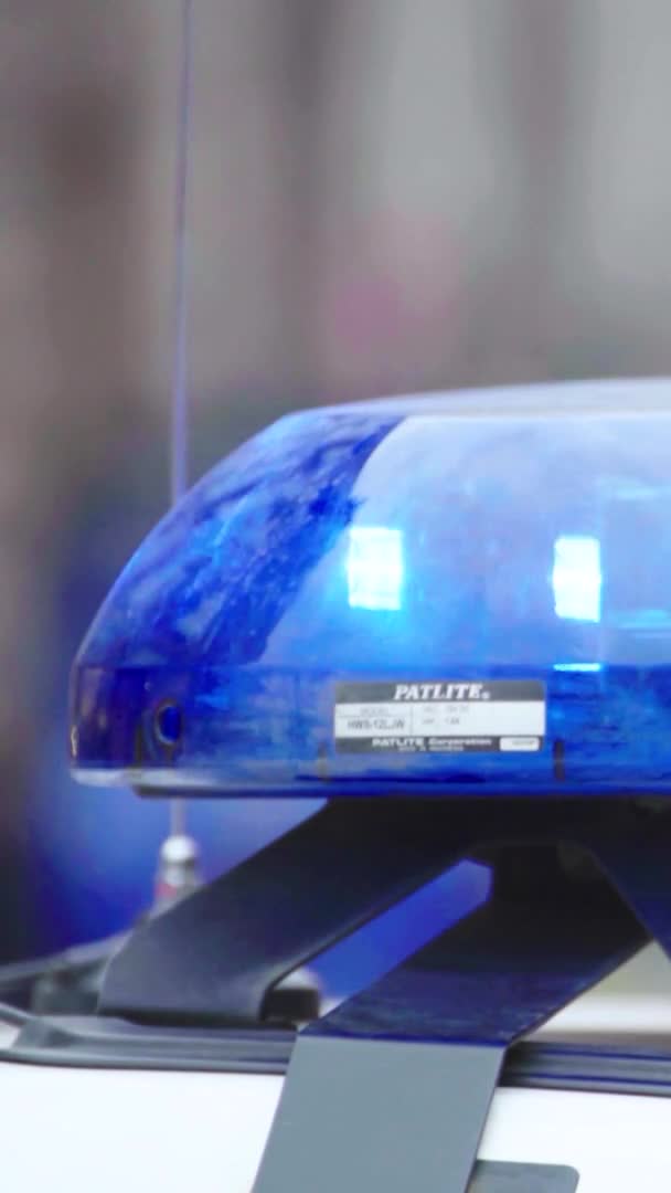 Blinklicht auf dem Dach eines Polizeiwagens — Stockvideo