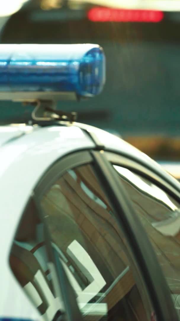 पोलीस कारच्या छतावर फ्लॅशर फ्लॅशिंग अनुलंब व्हिडिओ — स्टॉक व्हिडिओ