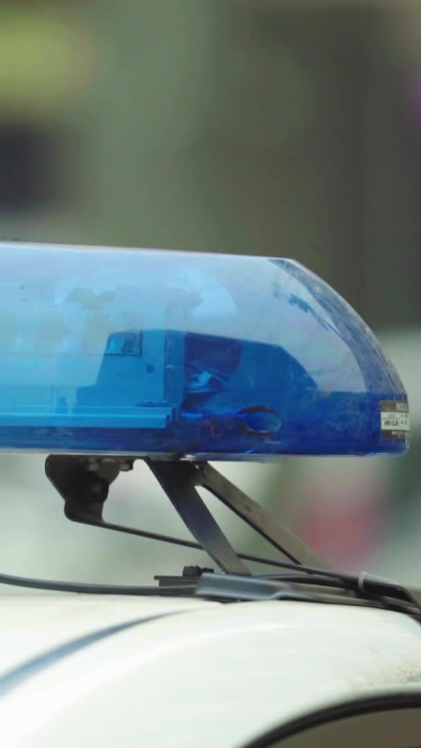Lampeggiante lampeggiante sul tetto di una macchina della polizia Video verticale — Video Stock