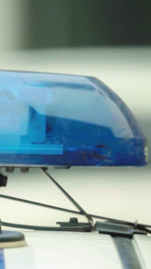 Bir polis arabasının çatısında teşhirci dikey video — Stok video