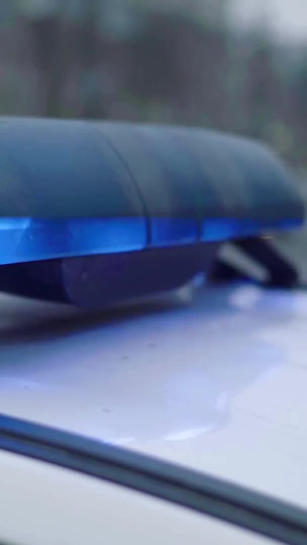 Lampeggiante lampeggiante sul tetto di una macchina della polizia Video verticale — Video Stock