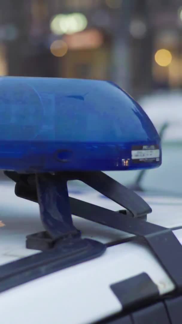 रात्री पोलिस कारच्या छतावर फ्लॅशर फ्लॅशिंग अनुलंब व्हिडिओ — स्टॉक व्हिडिओ