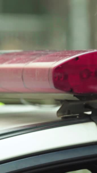 Вспышка вспышки на крыше полицейской машины Вертикальное видео — стоковое видео