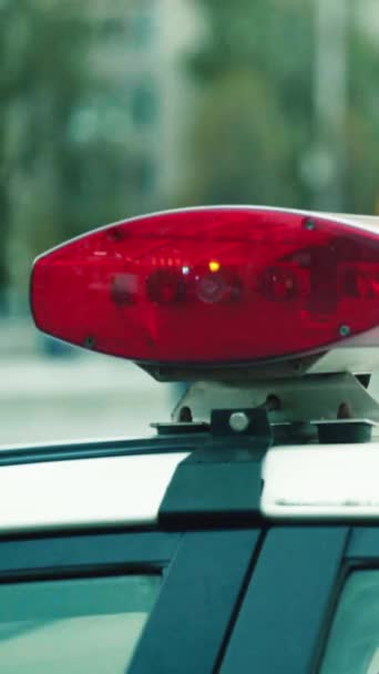 警车车顶上闪烁着的闪光 — 图库视频影像
