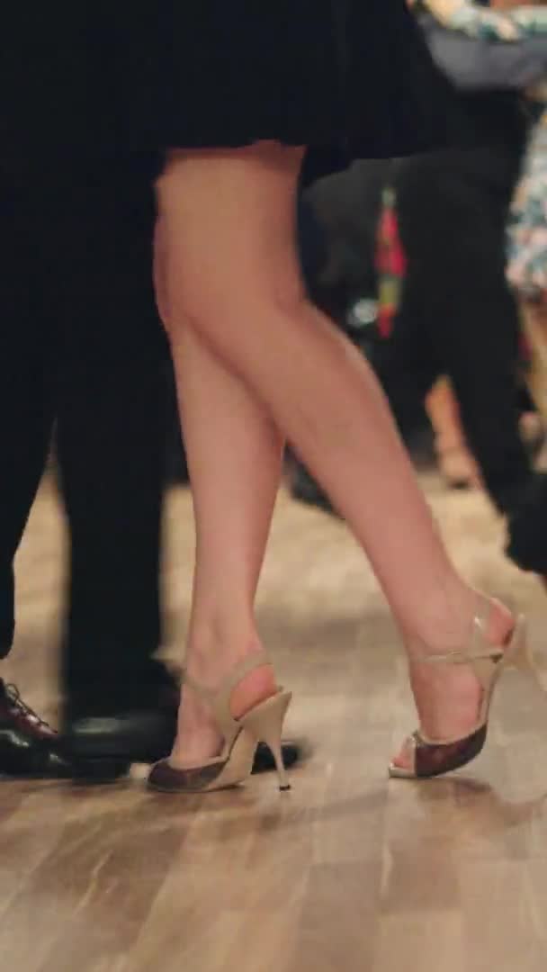 Tango tanečnice nohy při tanci vertikální video — Stock video