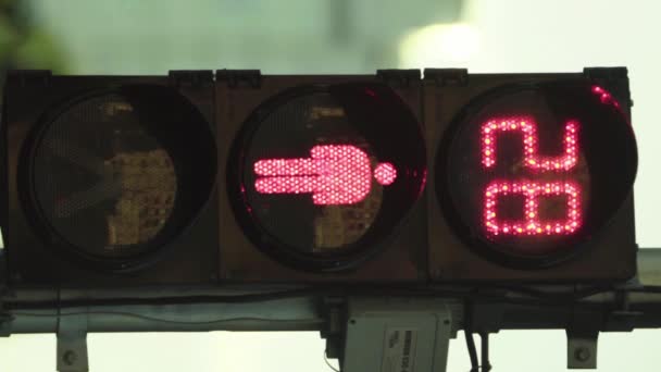 Trafikljus på vägen under dagen Vertikal video — Stockvideo