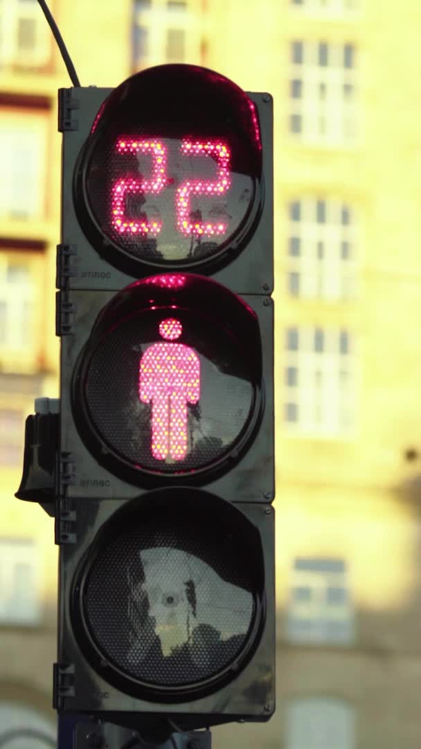 Verkeerslichten op de weg overdag Verticale video — Stockvideo