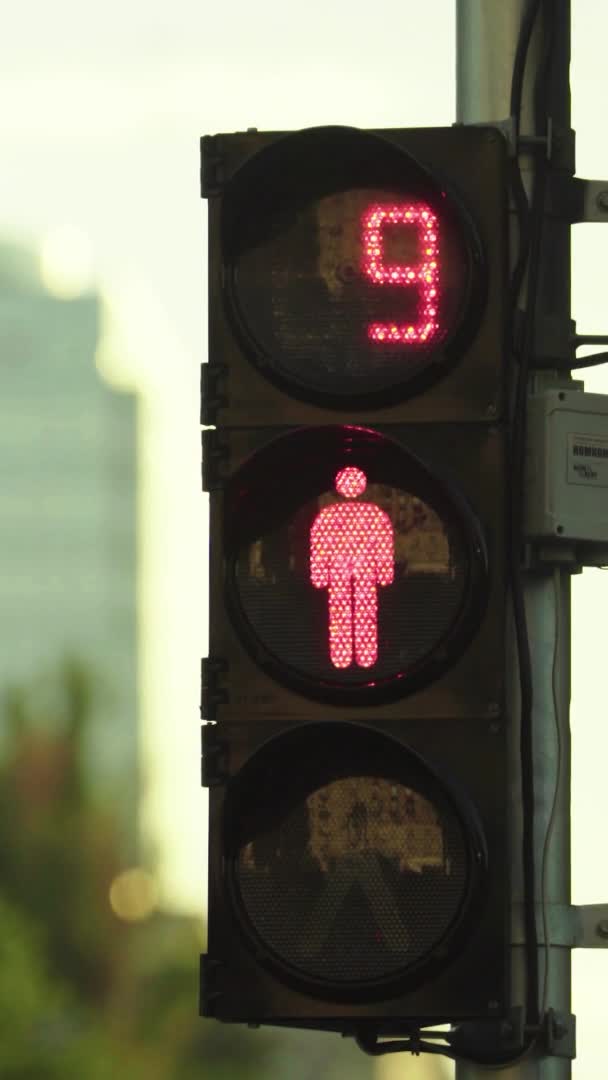 Semáforo en la carretera durante el día Vídeo vertical — Vídeos de Stock