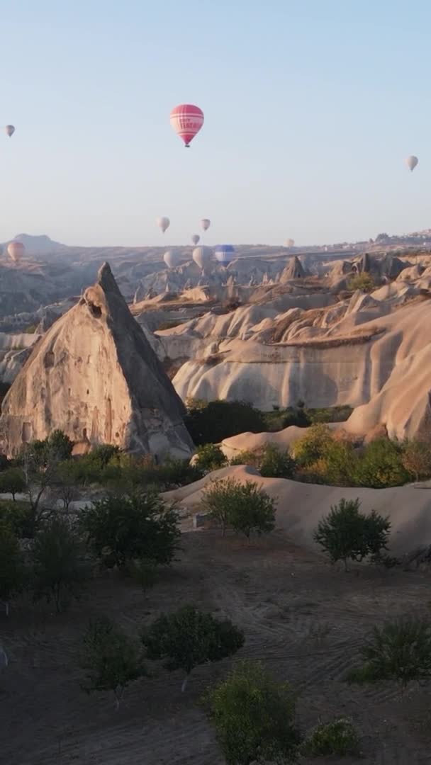 Ballonger i Kappadokien Vertikal video Slow motion — Stockvideo