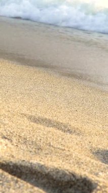 Sahildeki sahile yakın çekim. Dikey video.