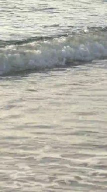 Sahildeki sahile yakın çekim. Dikey video.