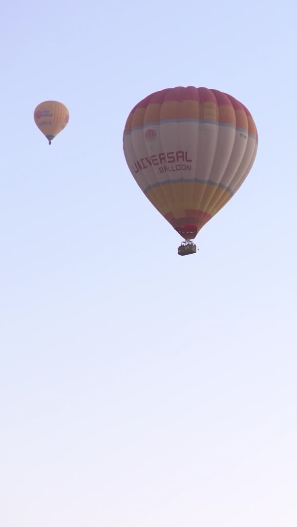 Cappadocia Dikey Videodaki Balonlar — Stok video