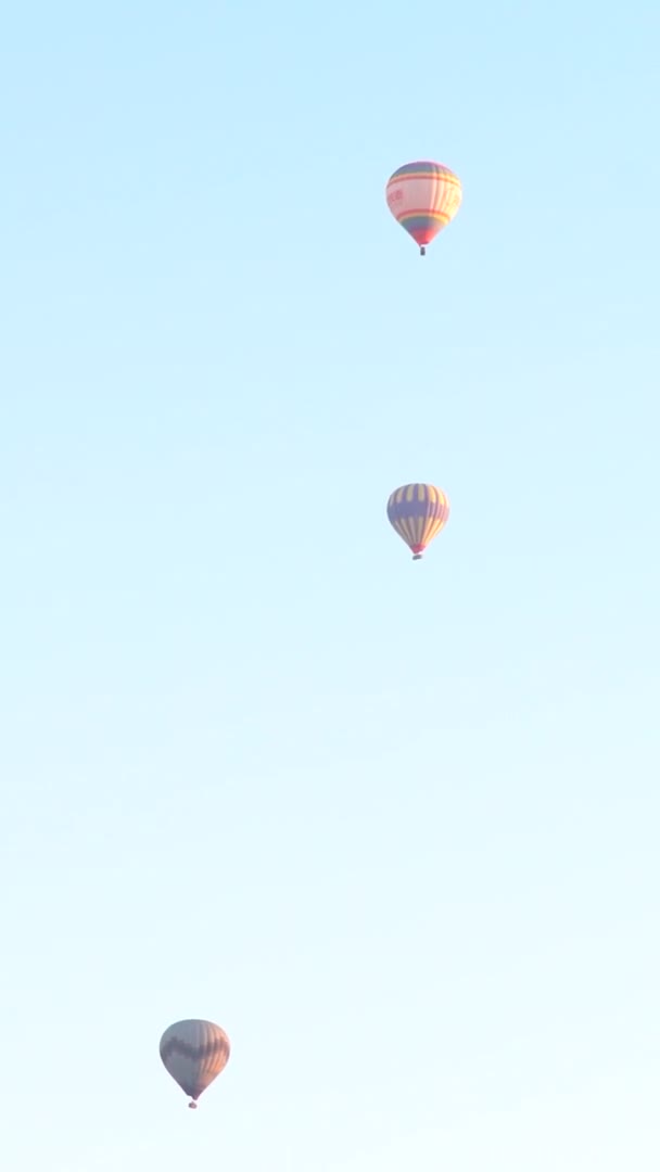 Ballonnen in Cappadocia Verticale video — Stockvideo