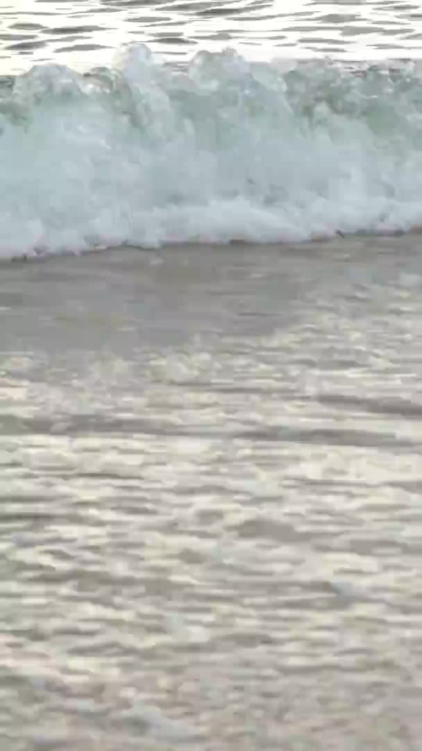 Nahaufnahme der Küste am Strand Vertikales Video — Stockvideo