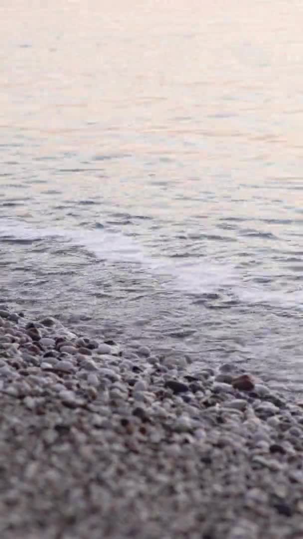 Close-up of the seashore on the beach Vertical video — Stock Video