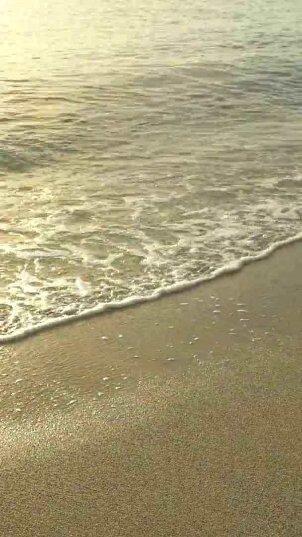 Närbild av stranden på stranden Vertikal video — Stockvideo