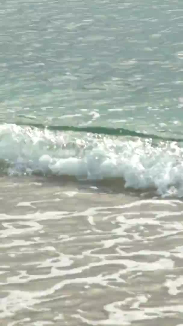 Detailní záběr na pobřeží na pláži Vertikální video — Stock video