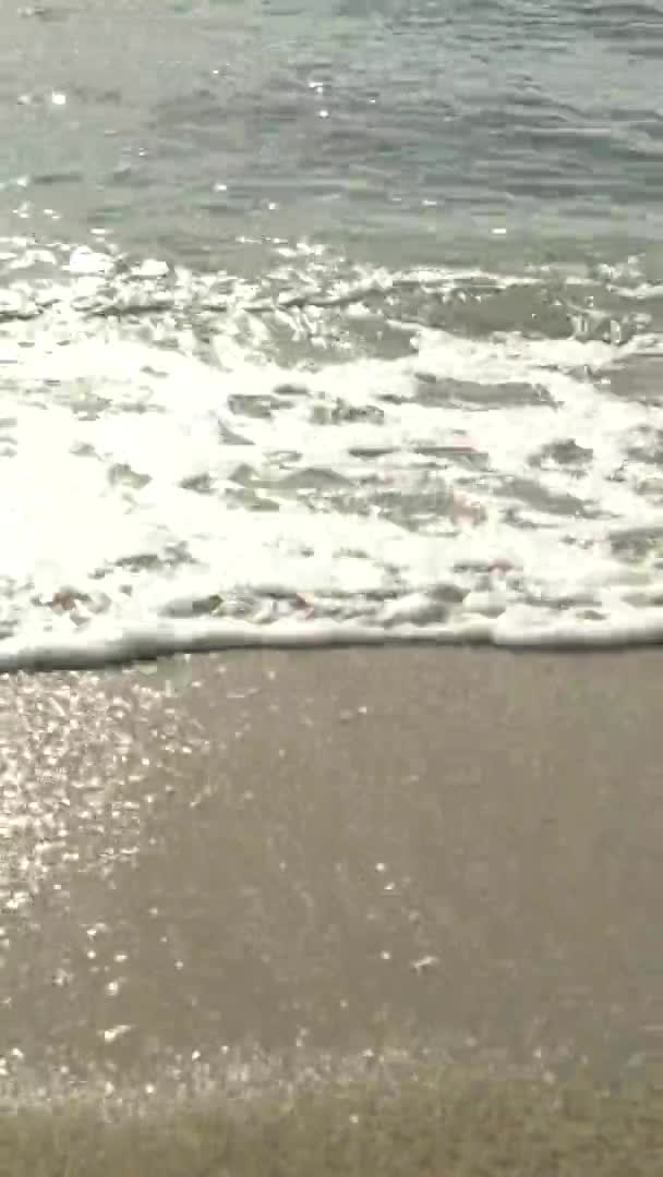 Крупним планом узбережжя на пляжі Вертикальне відео — стокове відео