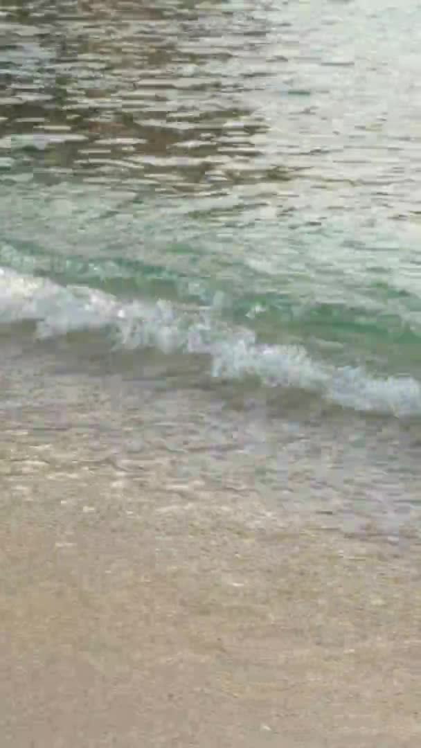 Close-up van de kust op het strand Verticale video — Stockvideo