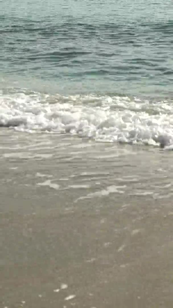 ビーチの海岸のクローズアップ垂直ビデオ — ストック動画