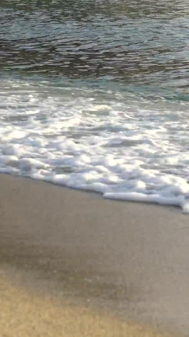 Närbild av stranden på stranden Vertikal video — Stockvideo